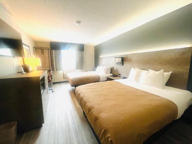 Quality Inn & Suites Ankeny-Des Moines - Camera Queen Con 2 Letti Queen-Size - Non Fumatori