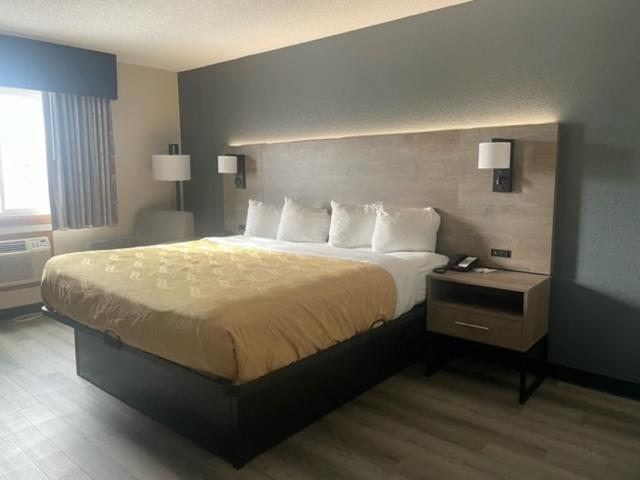 Quality Inn & Suites Ankeny-Des Moines - Camera King - Non Fumatori
