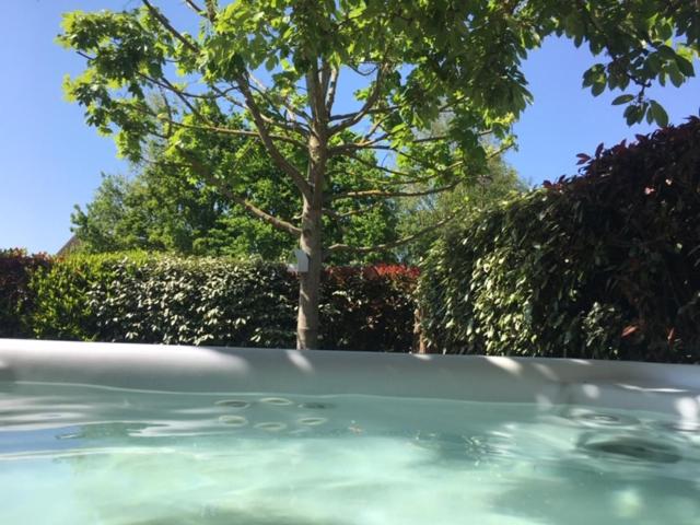un charco de agua con un árbol en el fondo en Appartement contemporain jardin & jacuzzi en Voisins-le-Bretonneux