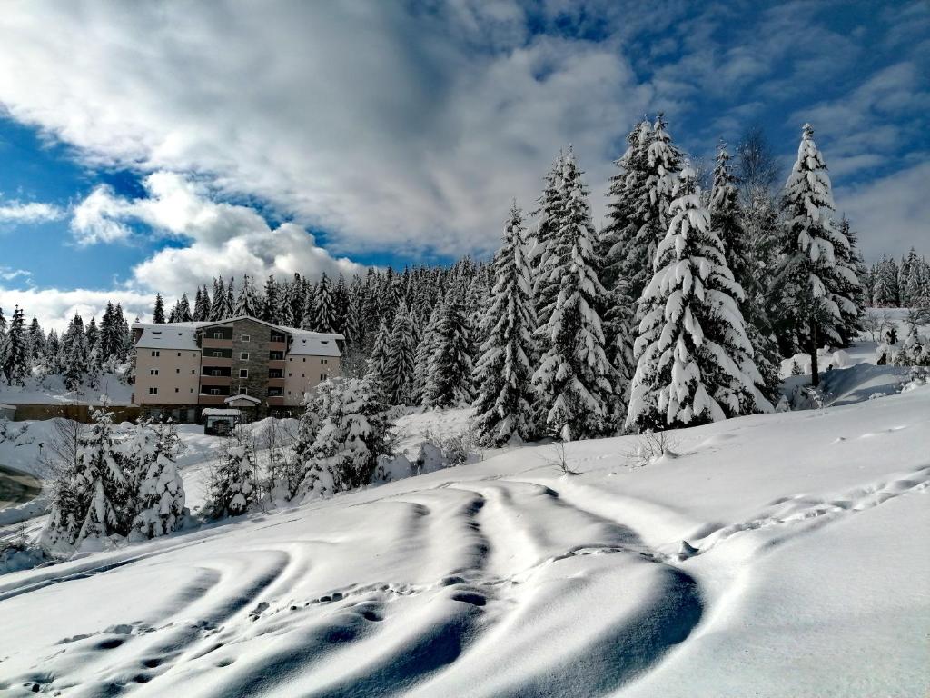 uma encosta coberta de neve com árvores e um edifício em Apartman Lenka Zlatar em Nova Varoš