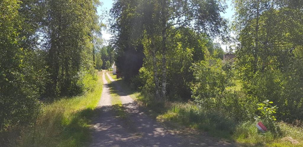Příroda nedaleko vily