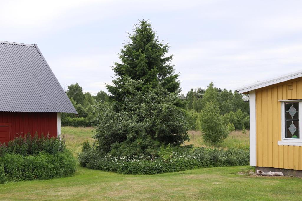 Zahrada ubytování ELGGÅRDEN