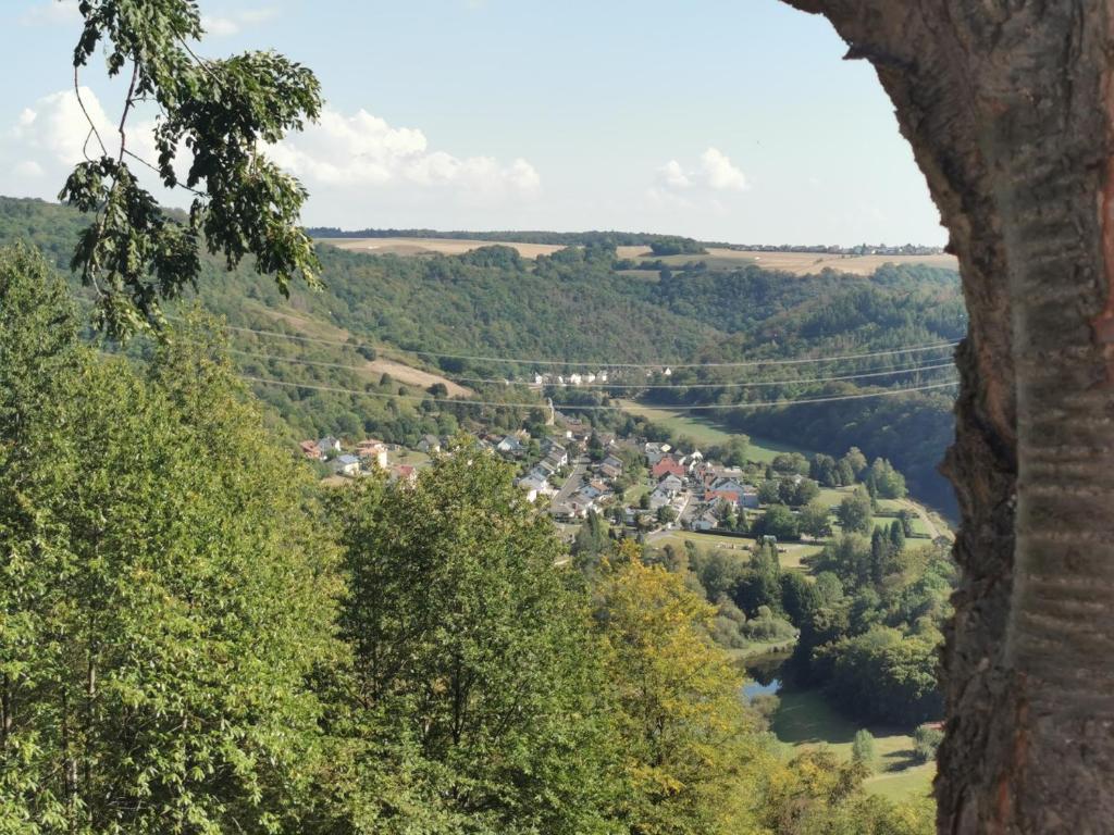 uma vista para uma cidade a partir de uma janela do castelo em Michas Lahn Ferienwohnung 