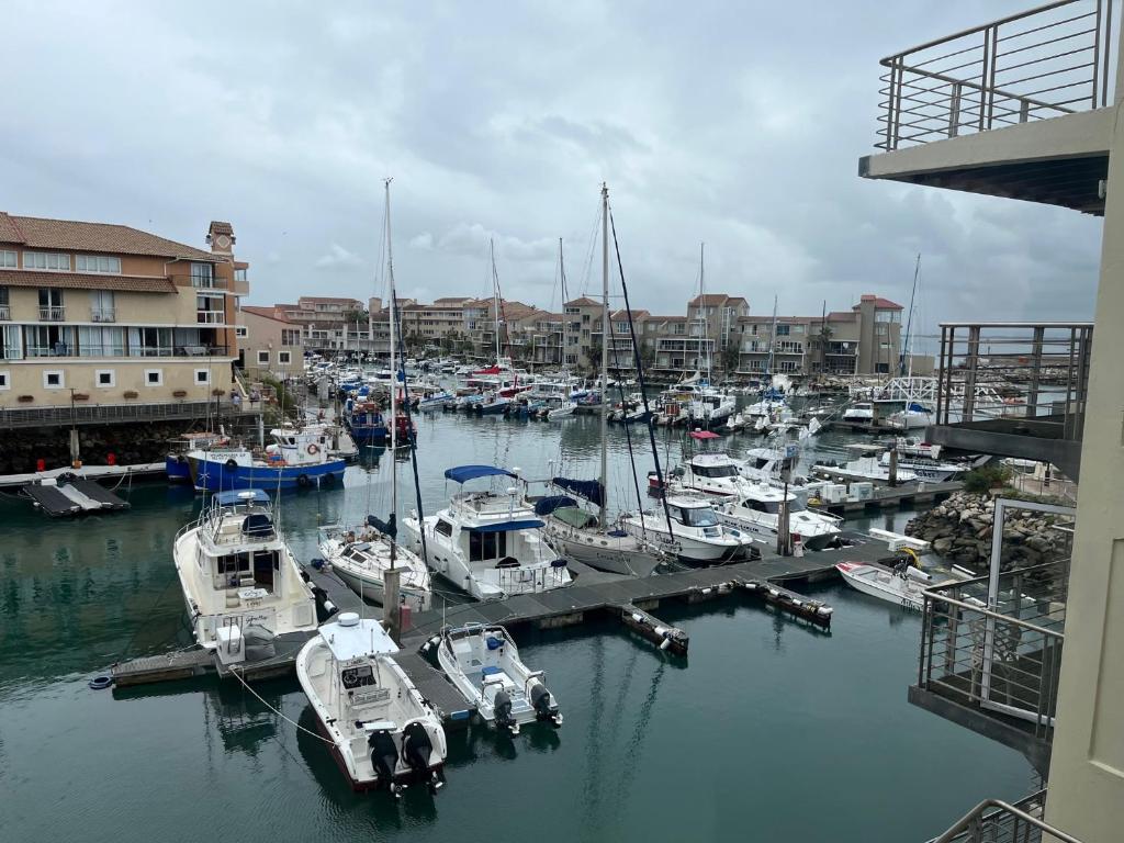 a group of boats docked in a marina with buildings at Port St Francis - QuarterDeck in St Francis Bay