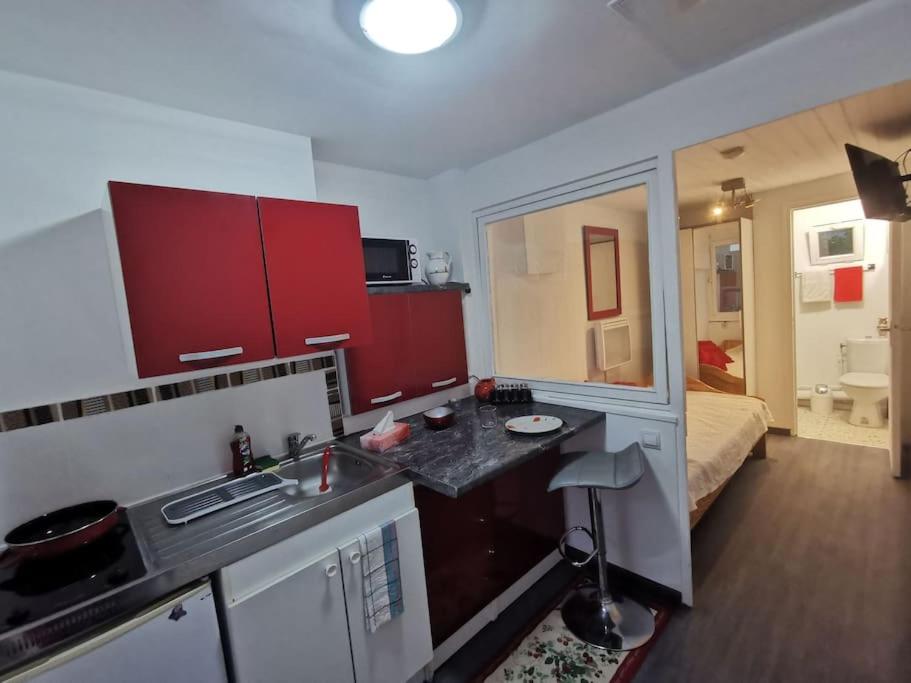 - une cuisine avec un évier et des placards rouges dans la chambre dans l'établissement Appartement fonctionnel et équipé en RDC avec petite terrasse couverte au calme, à Franqueville-Saint-Pierre