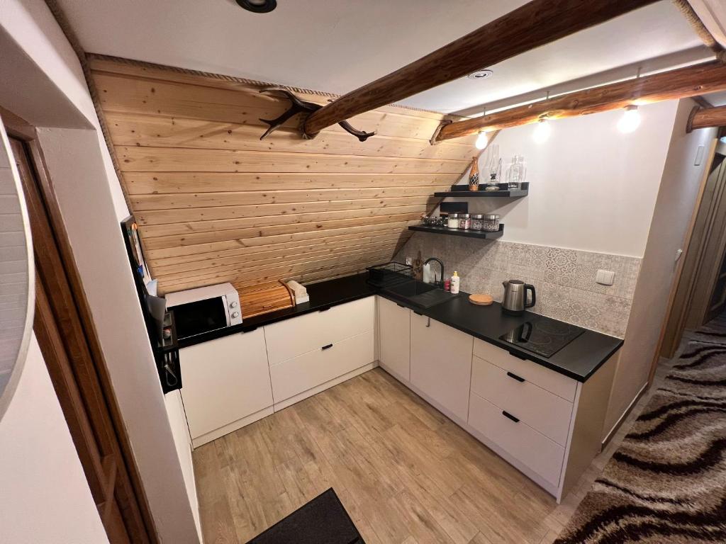 a small kitchen in a tiny house at Pokoje gościnne 28 w skosie in Zawadka
