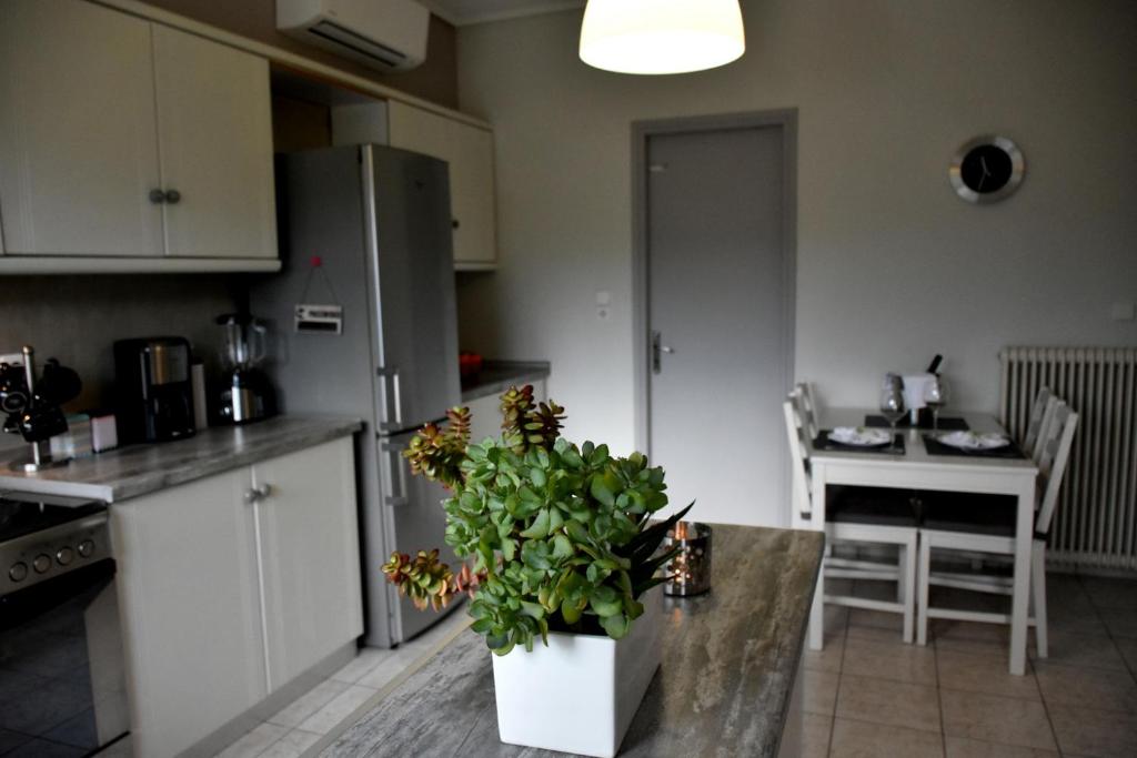 A kitchen or kitchenette at The Lovely Guesthouse Avlonari