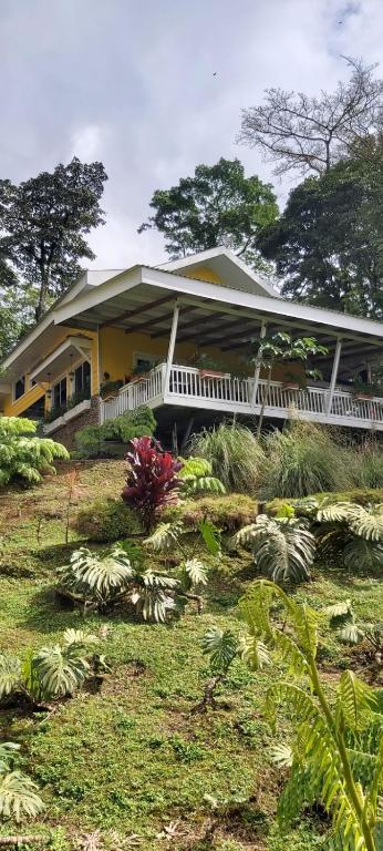 Cuki House