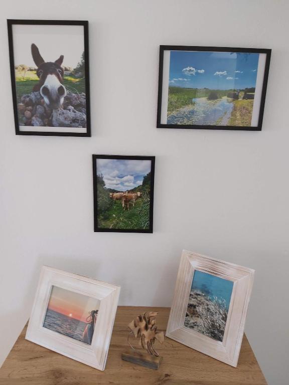 Fotografie z fotogalerie ubytování Tramontana Villa v destinaci Cala'n Porter