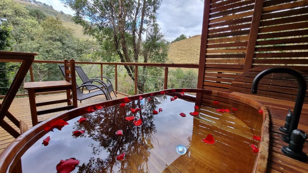 a balcony with a pool of water on a table at Pousada Solar D'Araucaria in Gonçalves