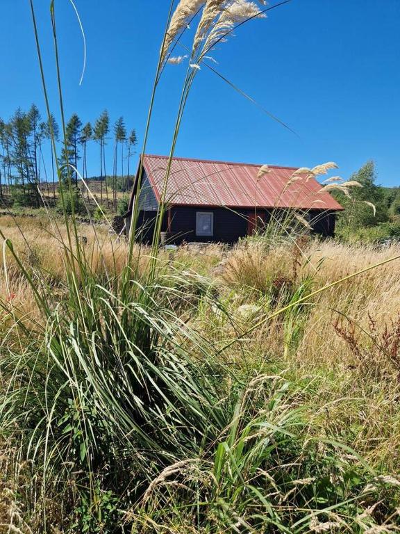 a house with a red roof in a field of tall grass at The Bothy In The Park in Stirling