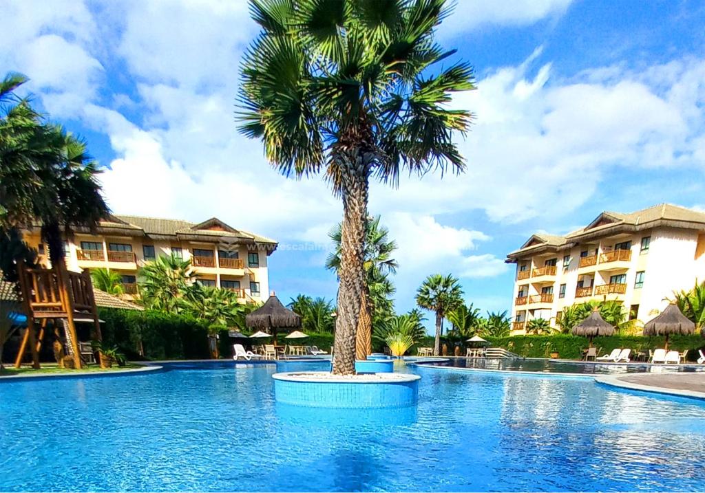 uma palmeira no meio de uma piscina num resort em Escala VG Sun Cumbuco em Cumbuco