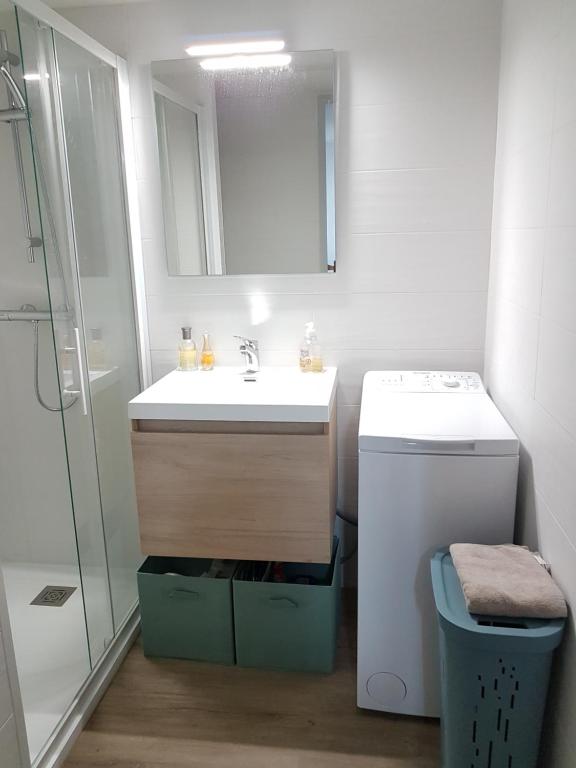 łazienka z umywalką, toaletą i lustrem w obiekcie Petit pavillon St Pierre w mieście Saint Pierre La Mer