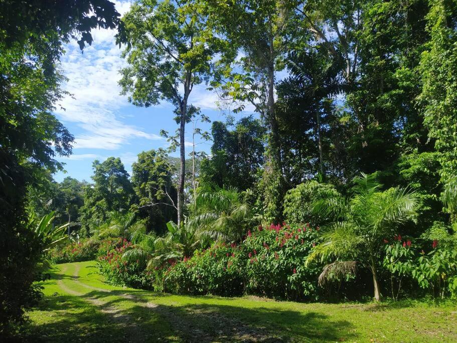 Zahrada ubytování Terra NaturaMa - off grid living in the jungle