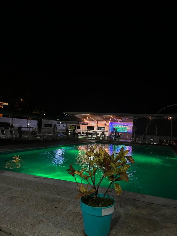 La Vie, Arouca (updated prices 2024)