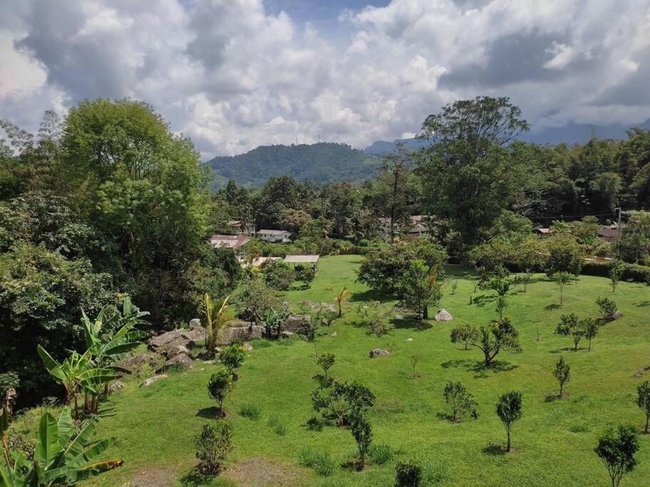 un campo de césped con árboles y una montaña en Finca La Primavera - Cabañas Campestres de Descanso en Sasaima