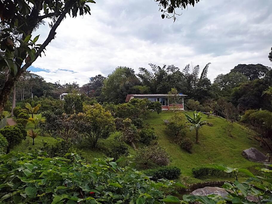 Un jardín fuera de Eco Hotel La Primavera - Cabañas Campestres de Descanso