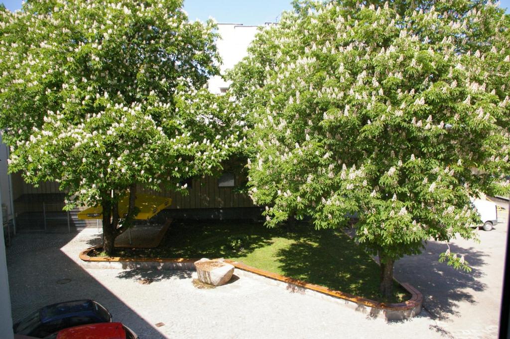 Zahrada ubytování Guest House Senasis Pastas