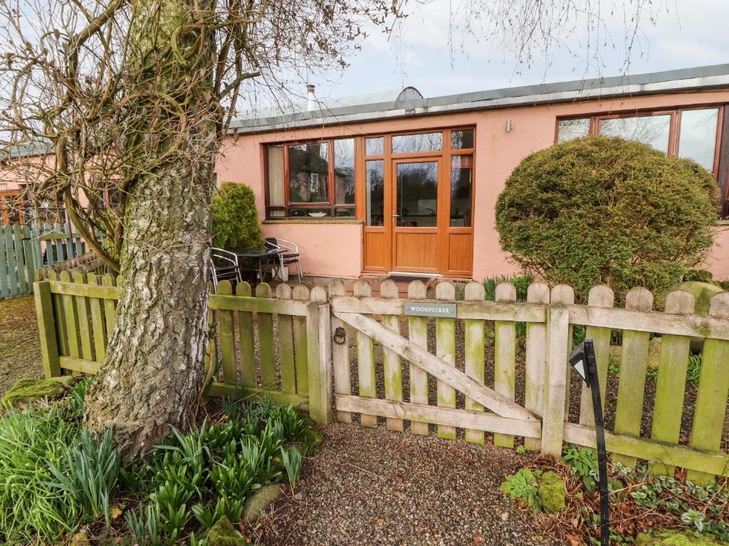 a house with a fence and a tree at Woodpecker in Ivegill