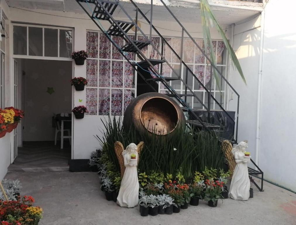 zwei Katzen-Statuen vor einem Blumengarten in der Unterkunft Alojamiento Colors in Mexiko-Stadt