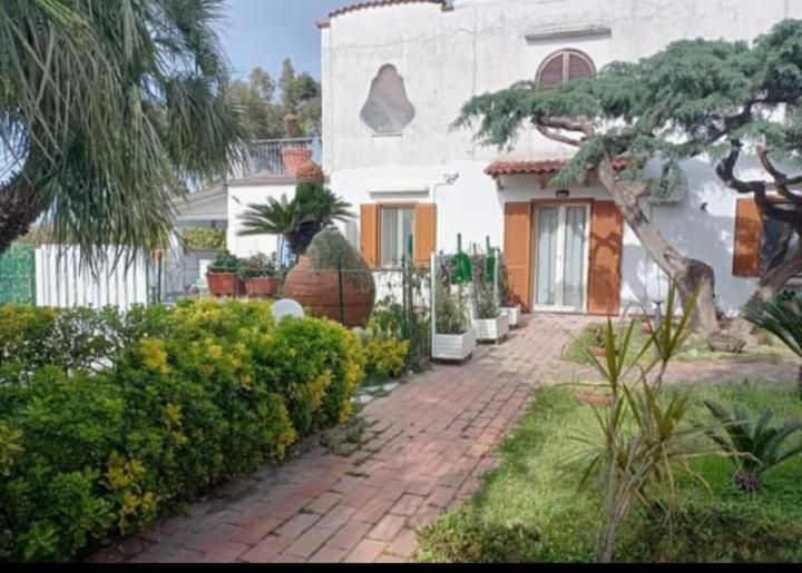 Zahrada ubytování Casa Sonia
