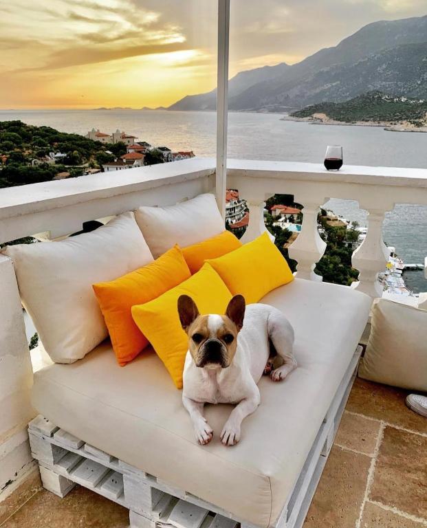 Táj a villa közelében