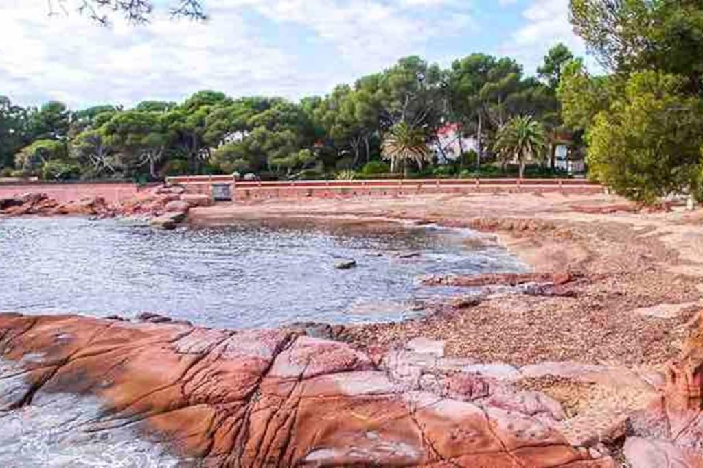 Fotografia z galérie ubytovania BOREAL 4 pax Bord de mer v destinácii Saint-Raphaël