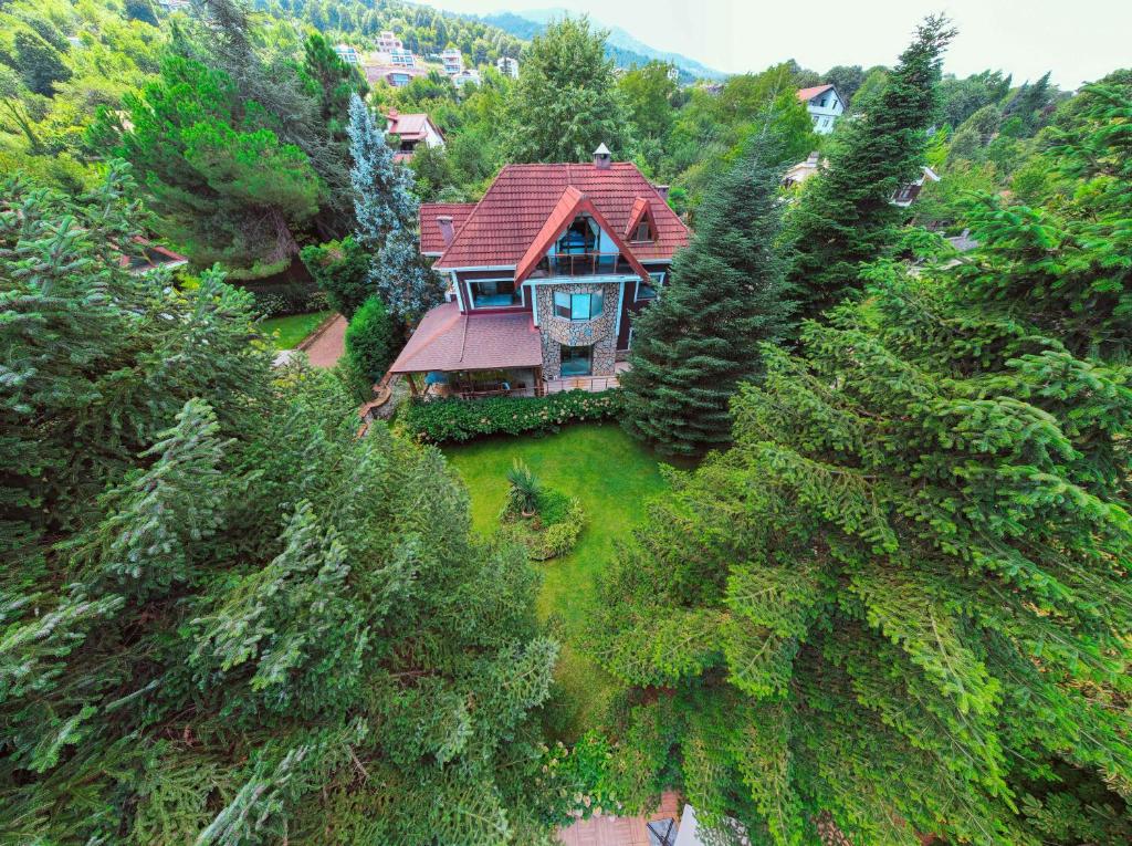 Bungalov Maşukiye Villa з висоти пташиного польоту