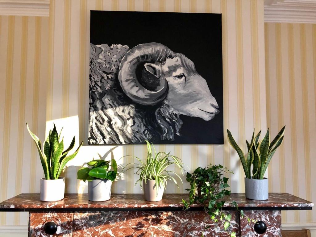 a painting of a ram on a wall with plants at Salisbury Guest House in Keswick