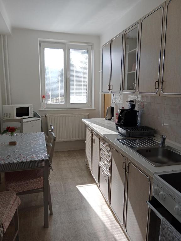 Villa Cihelna apartments - 6