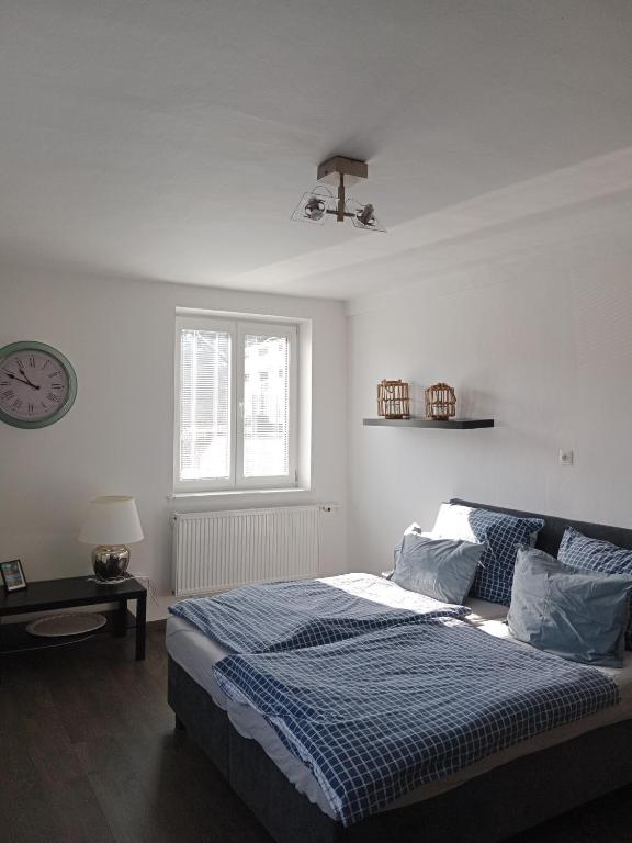 Villa Cihelna apartments - 8