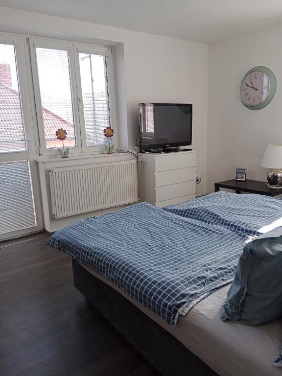 Villa Cihelna apartments - 9