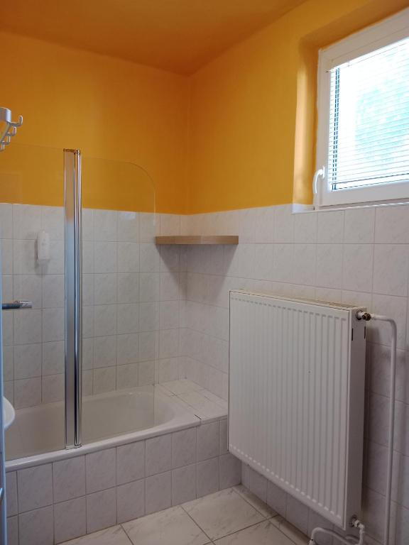 Villa Cihelna apartments - 11