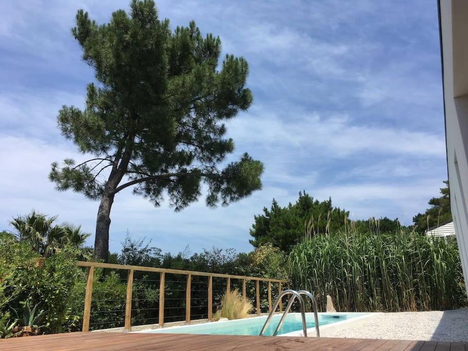 una piscina con un albero sullo sfondo di ETXE LAUA a Saint-Jean-de-Luz