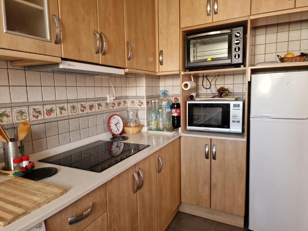 Kuchyň nebo kuchyňský kout v ubytování Apartament CARMEN