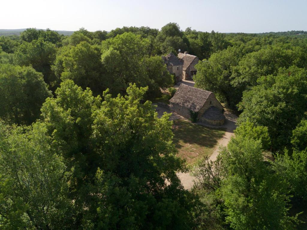 Príroda v okolí chaty v prírode
