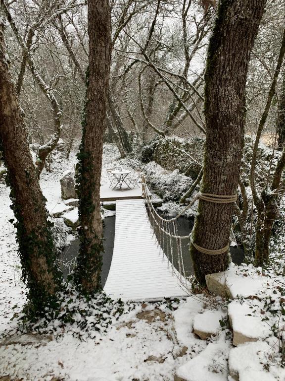 cabane lodge avec spa privatif v zime