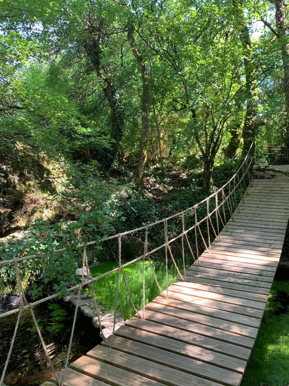 Príroda v okolí chaty v prírode