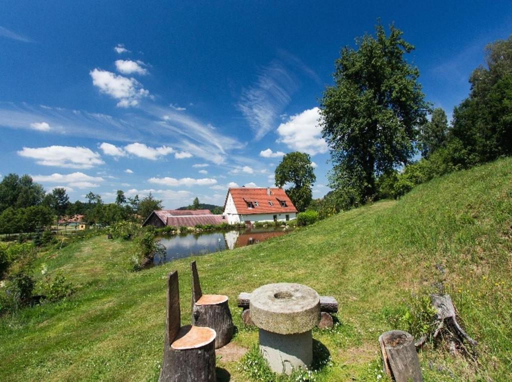 a house on a hill next to a river at Hánův mlýn in Letny