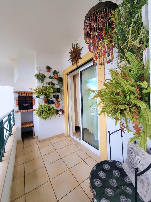 Fotografie z fotogalerie ubytování T1 Falesia v destinaci Albufeira