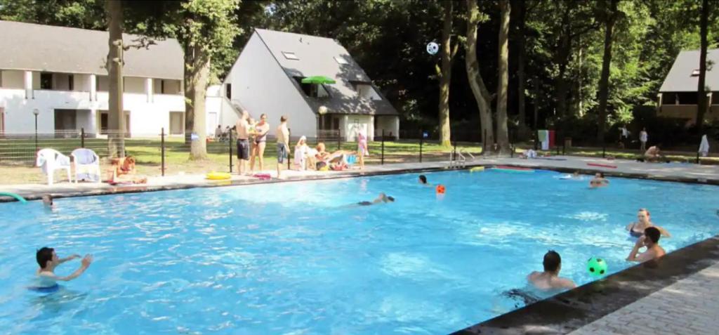 een groep mensen die zwemmen in een zwembad bij Familie Vakantiehuisje F108 - 4p - Hengelhoef - Houthalen-Helchteren in Aan de Wolfsberg