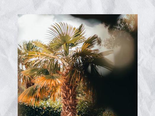 Fotografie z fotogalerie ubytování Villa Gromaca v destinaci Omišalj