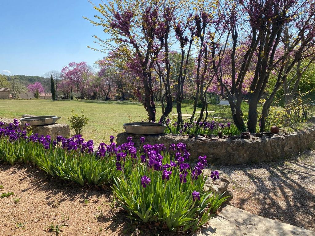 a garden with purple flowers and trees in a park at Campagne Salettes in Lorgues