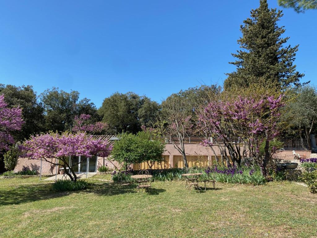a garden with purple trees and purple flowers at Campagne Salettes in Lorgues