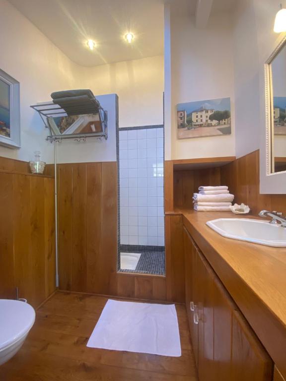 a bathroom with a toilet and a sink and a shower at Campagne Salettes in Lorgues