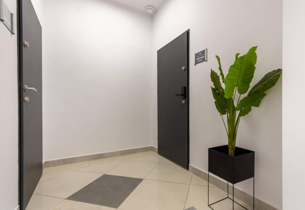 Apartamenty KTW - 11