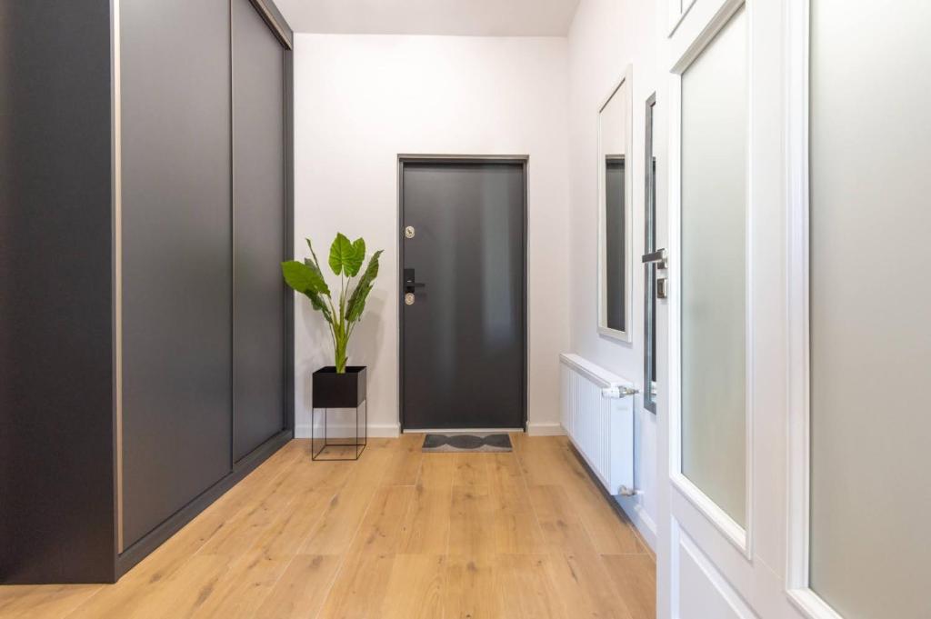 Apartamenty KTW - 10