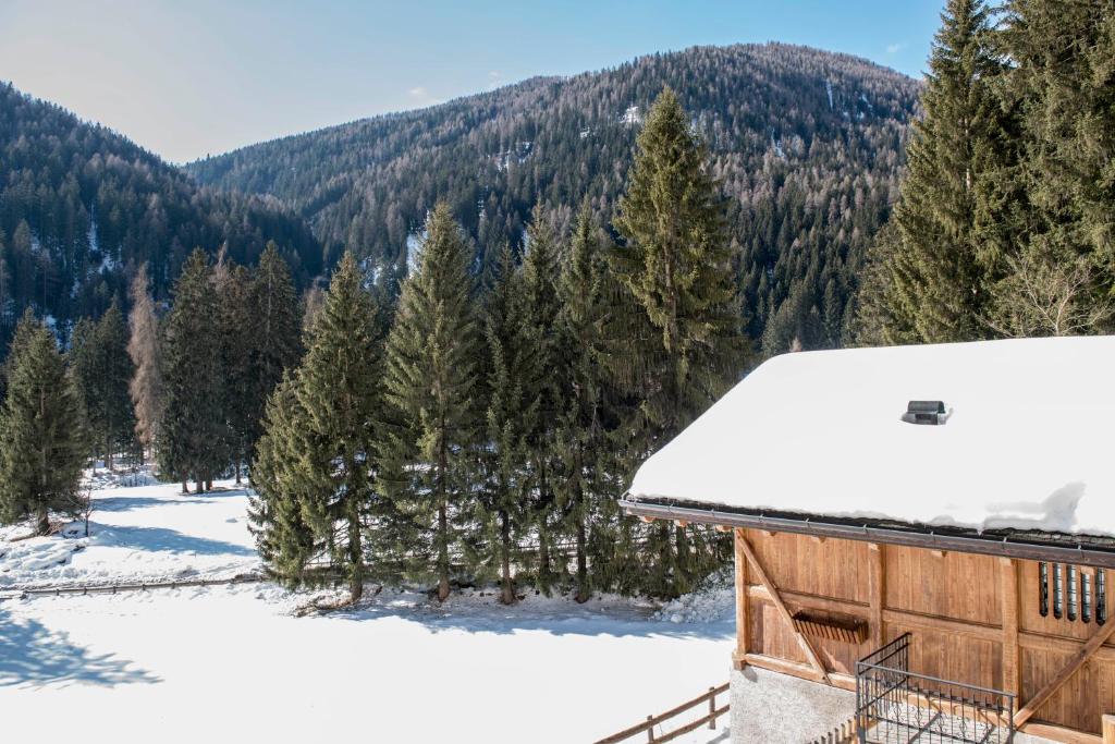 Kép Chalet Bambi szállásáról Rabbiban a galériában