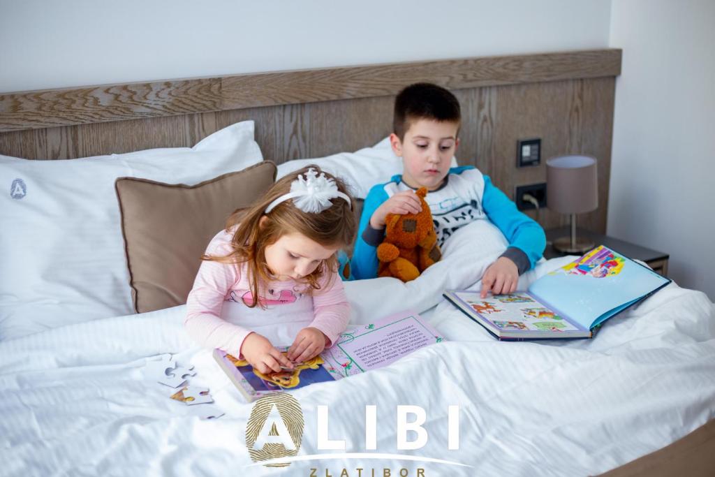 Alibi Zlatibor Inn - Resim 10