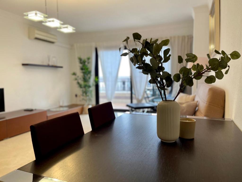 Μια τηλεόραση ή/και κέντρο ψυχαγωγίας στο Apartamento Alyanna
